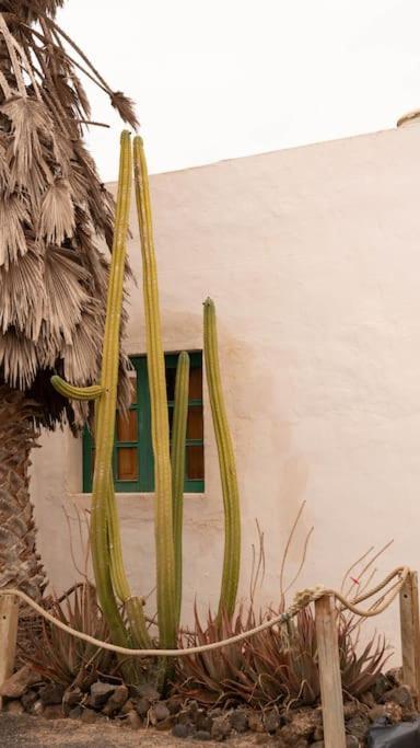 Willa Casa Munique Teguise  Zewnętrze zdjęcie